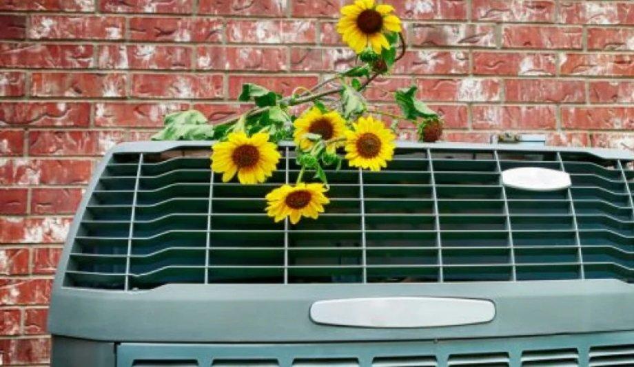 AC Replacement Vero Beach: Save On Energy Costs