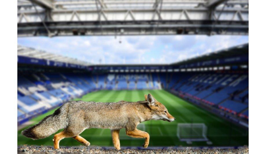 Adcock Attains Contract From Leicester City Football Club For Its King Power Stadium’s Chiller Plant Service And Maintenance