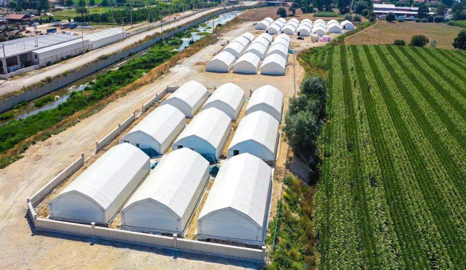 Ajax Protect's Mushroom Farm's Greenhouses And Preserves The Crop