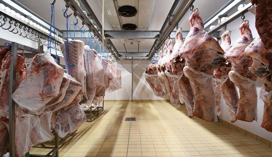 Short Hanging To Mature And Dry Aged Cold Rooms By Standard Tech