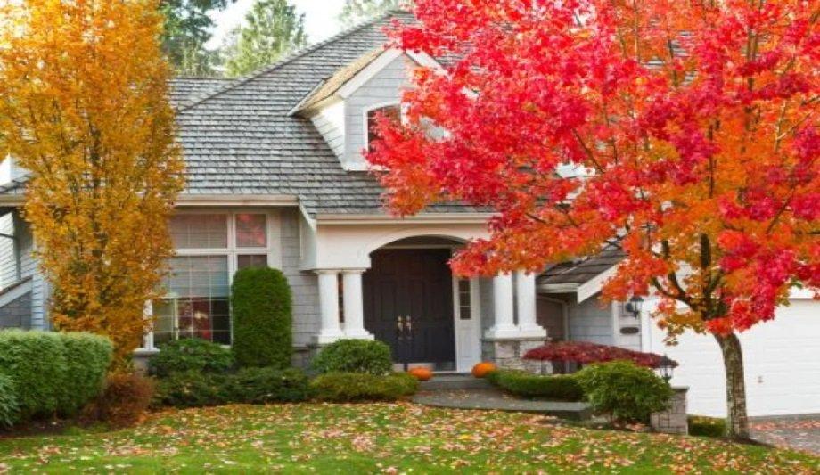 Optimal Fall Furnace Installation Tips And Pricing
