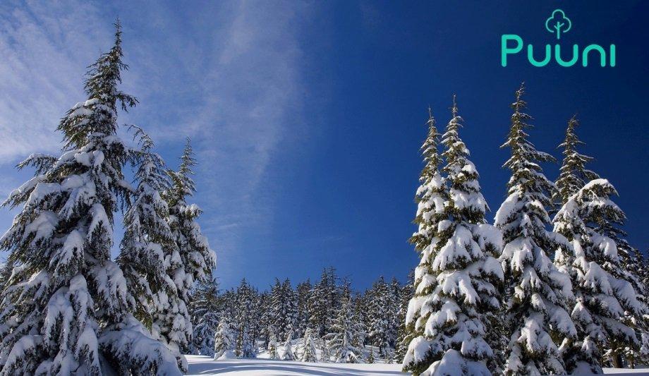 Leanheat Acquires A Carbon Sink Produced By Puuni To Move A Step Towards A Cleaner Future