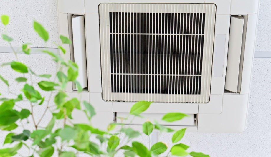 How Air Curtains Can Increase Air Quality By A Factor Of 5x