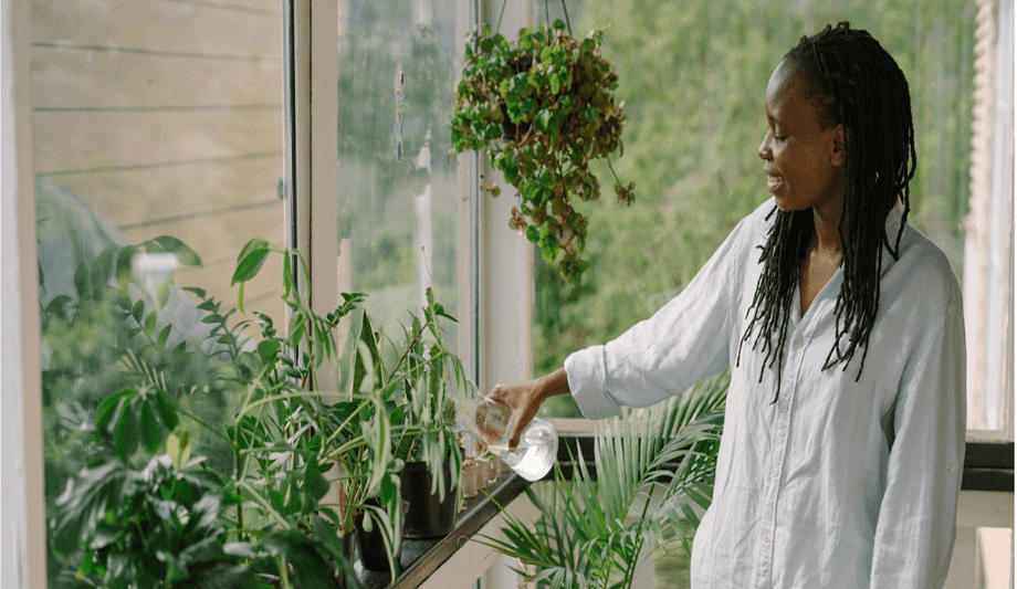 Napoleon Discusses The Ways Indoor Plant Improves Air Quality