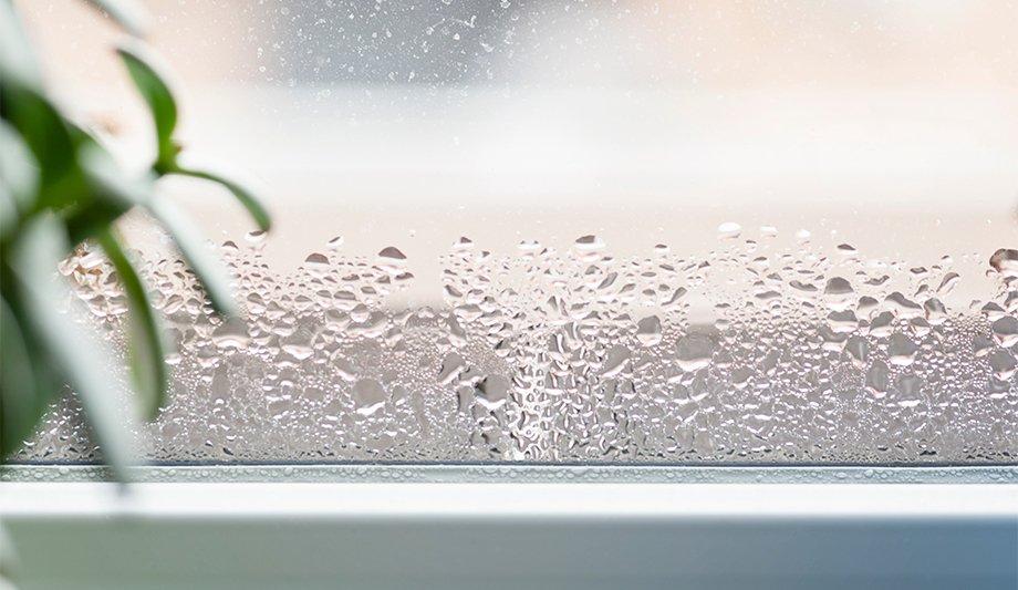 Polyimide Membranes Show Promise For Dehumidification, Say Researchers