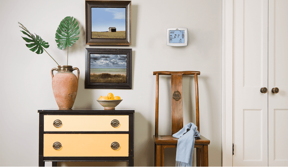 Napoleon Highlights The Ways To Save Money With A Programmable Thermostat