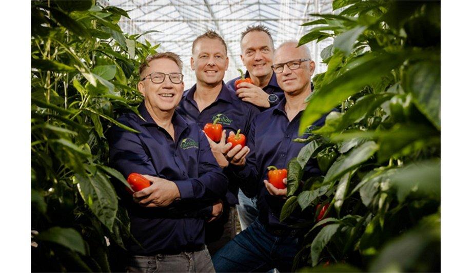 Rainbow Growers Orders A PARAT Power To Heat System To Reduce Emissions And Bring Flexibility To Their Boiler House