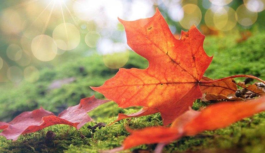 Vaisala Concludes The Change Negotiations In Weather And Environment Business Area In Finland