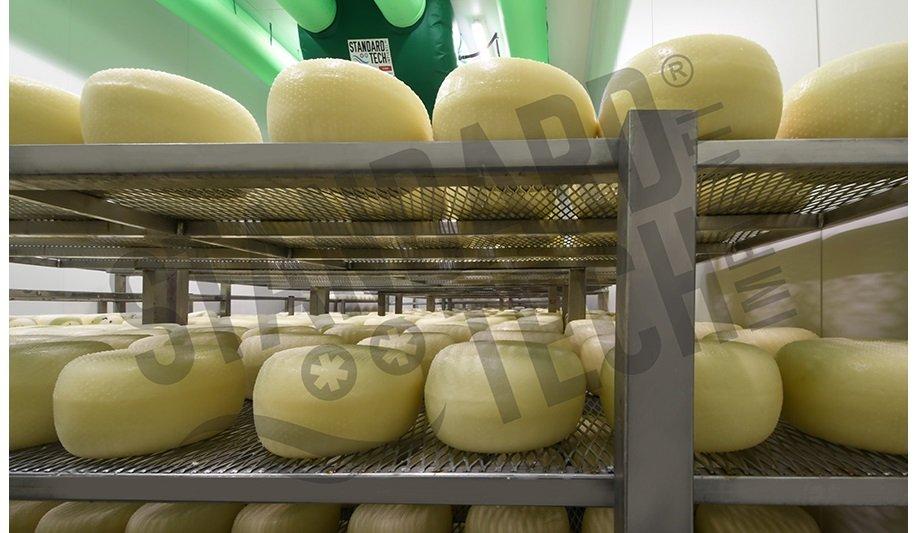 Standard Tech Introduces BIOXTECH® Ripening System