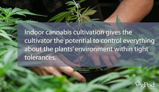 gPod by Data Aire helps in indoor cannabis cultivation